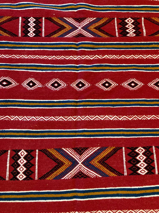 Toujani Rug, series 1 2022 (1/28) Size 55" x 101"