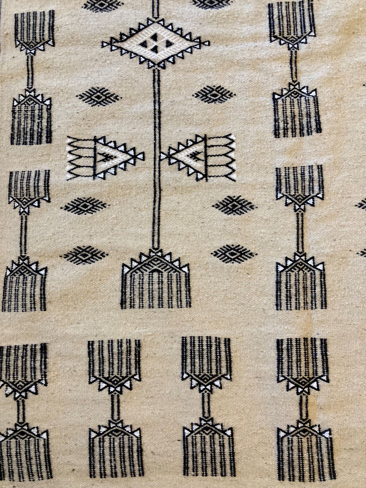 Toujani Rug 6/2024 - New - 83" x 43"