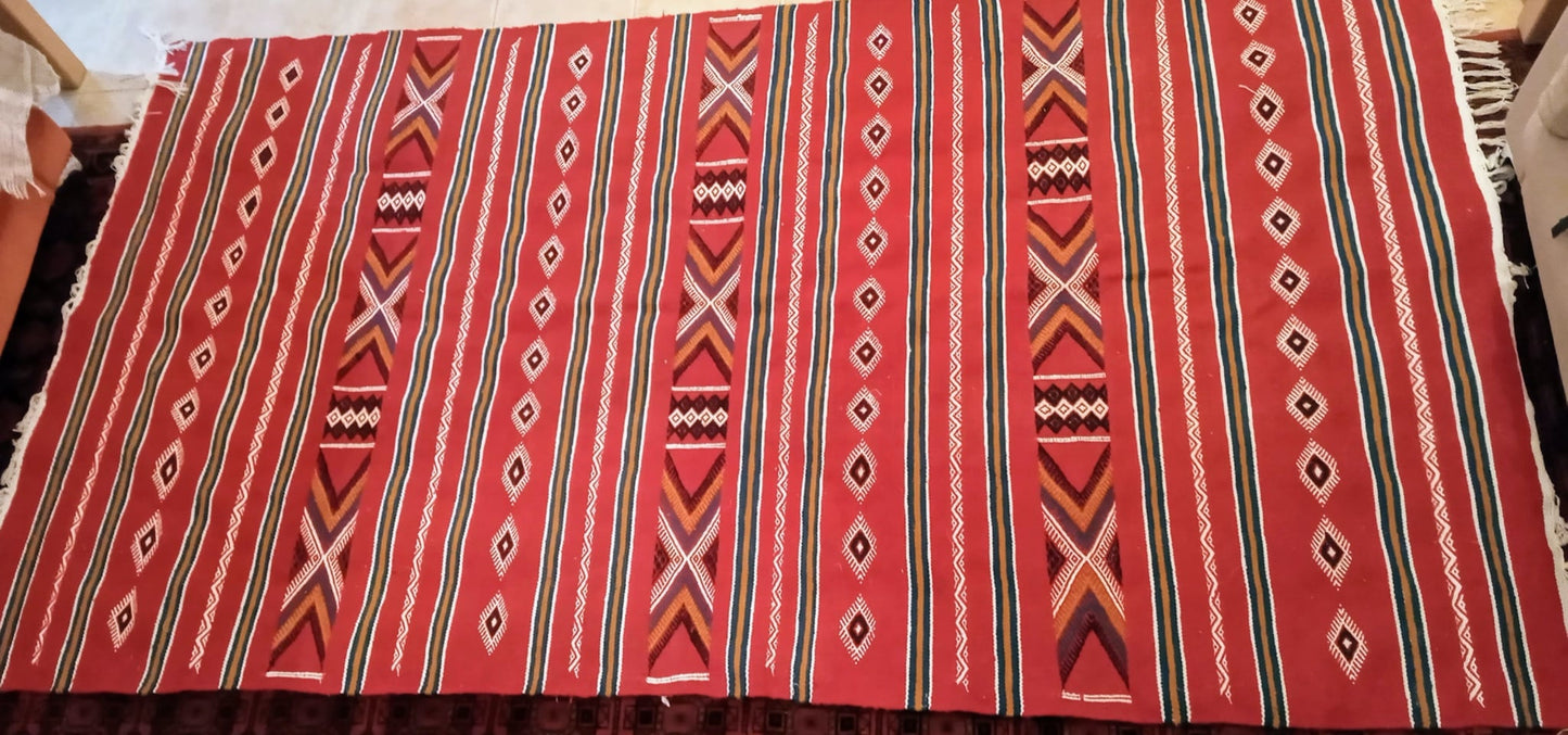 Toujani Rug, series 1 2022 (1/28) Size 55" x 101"